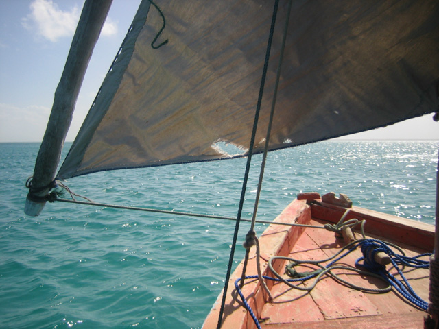Sailing back